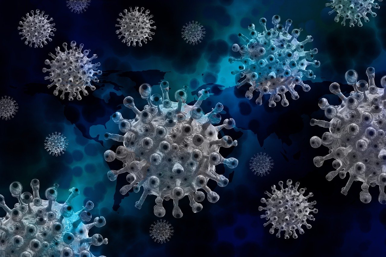 Image of virus through microscope