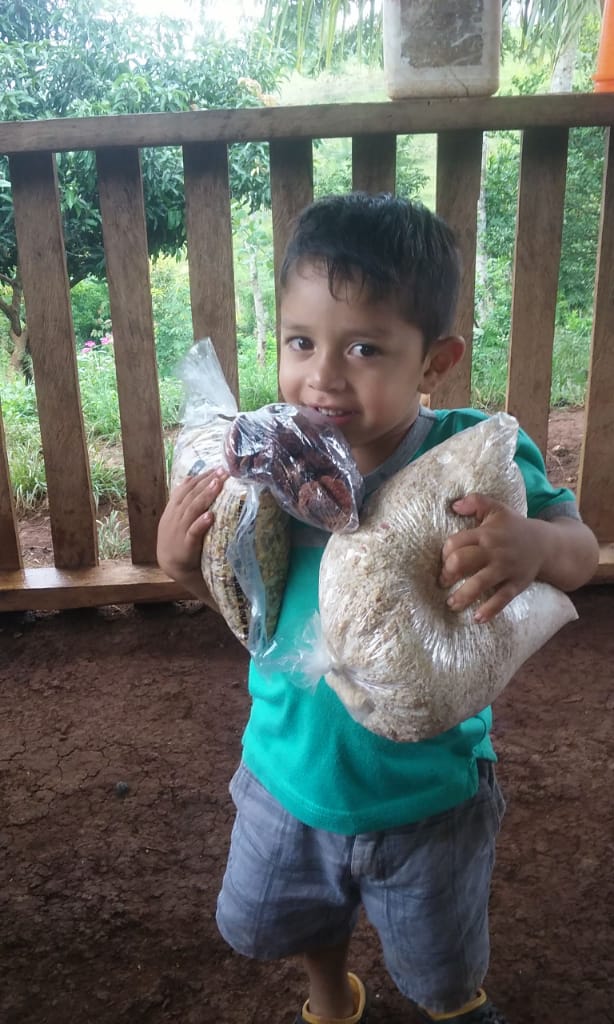 A young boy holds bags of food.