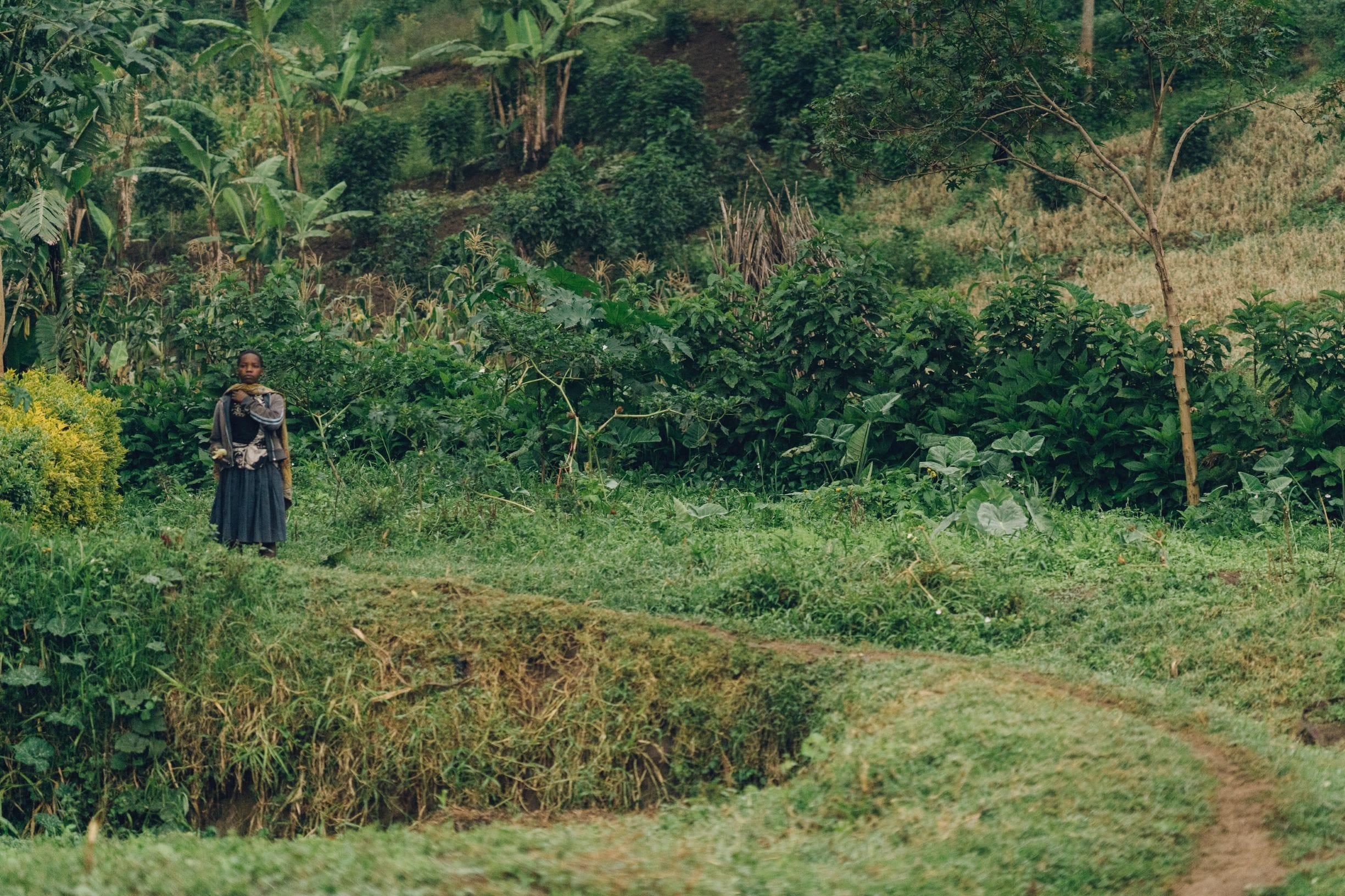 A woman stands on a winding path with lush green foliage in Uganda.